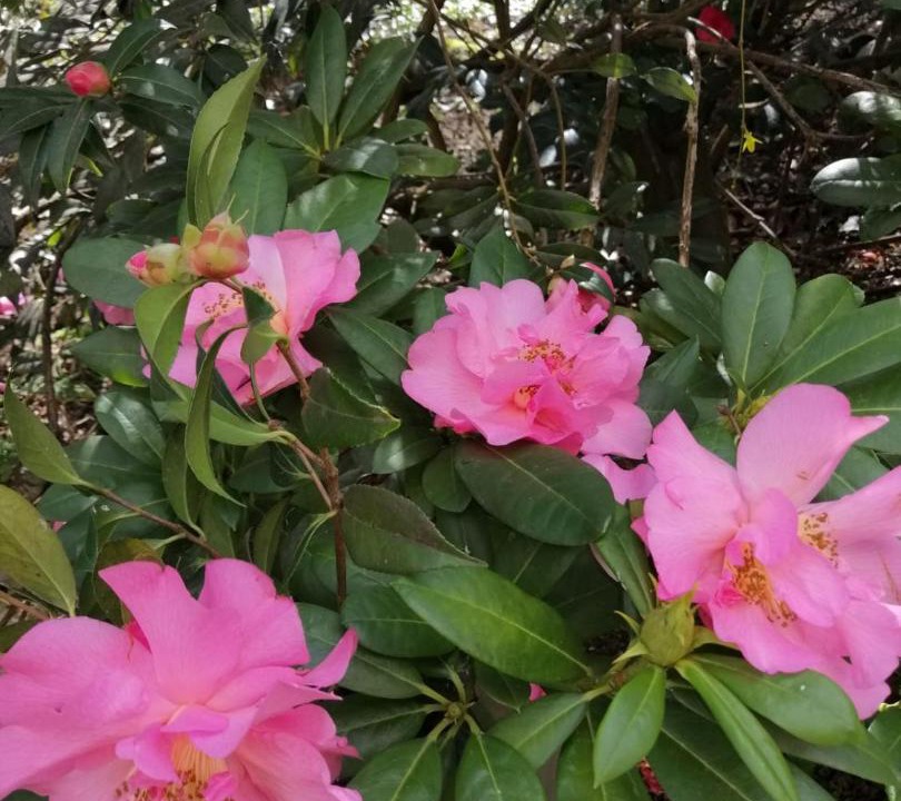 Photo of Outdoor in Vaux-le-Penil