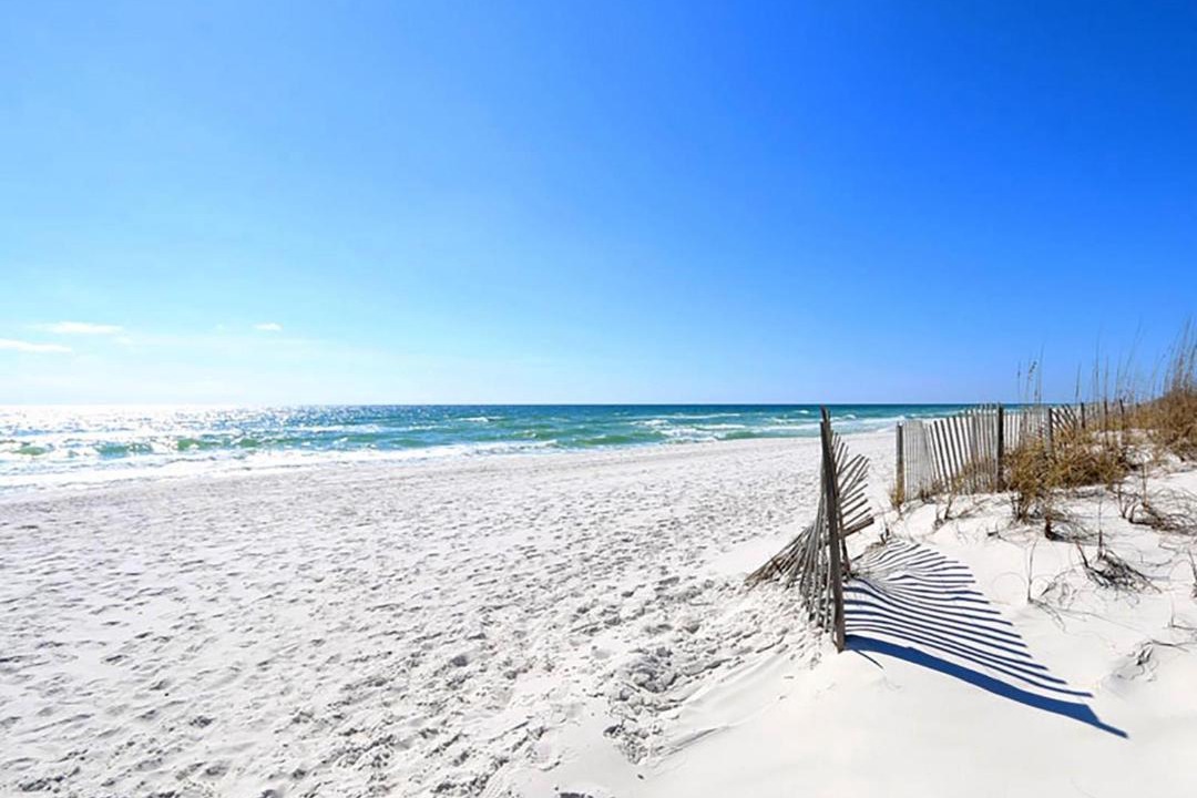 Photo of Others in Pensacola Beach