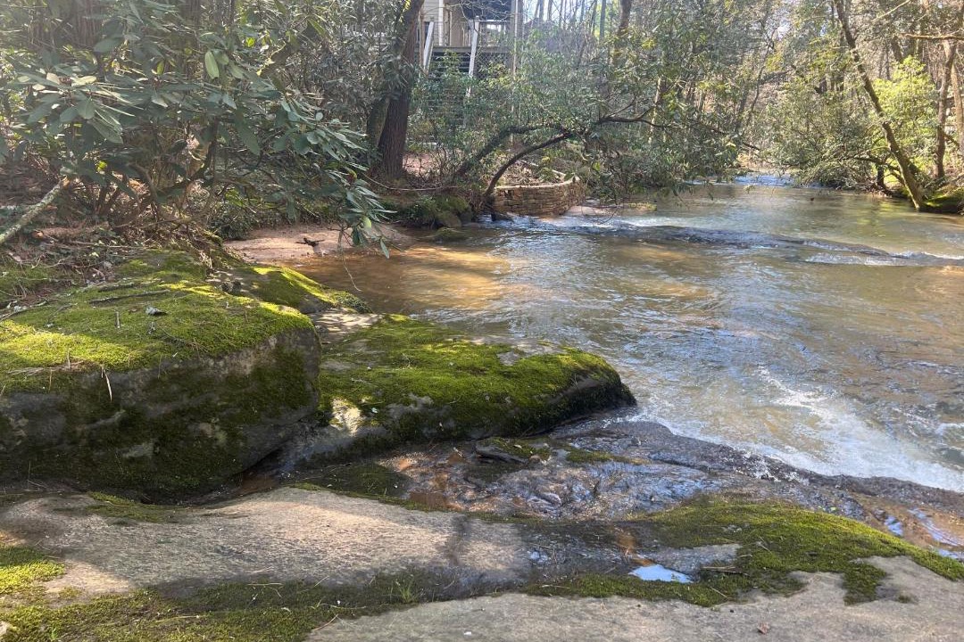 Photo of Others in Wiley