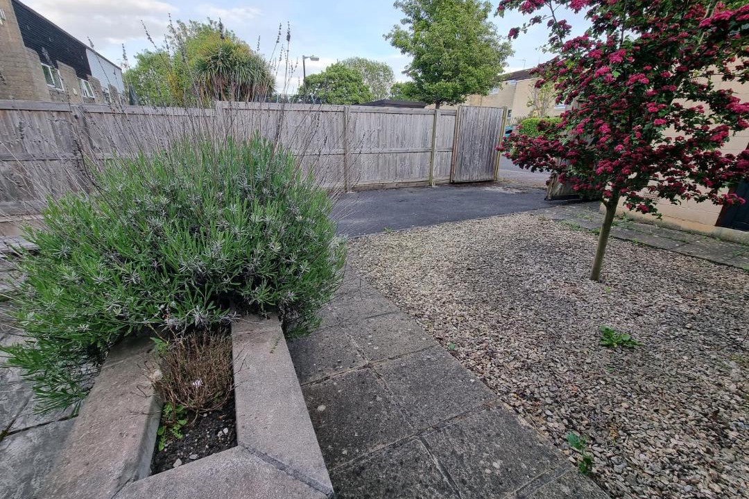 Photo of Others in Bath