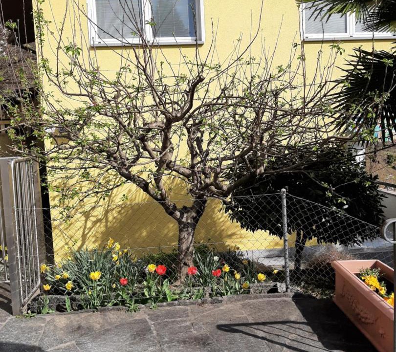 Photo of Others in Riazzino