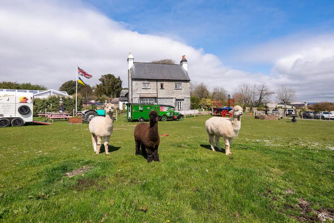 Photo of Others in Turnchapel