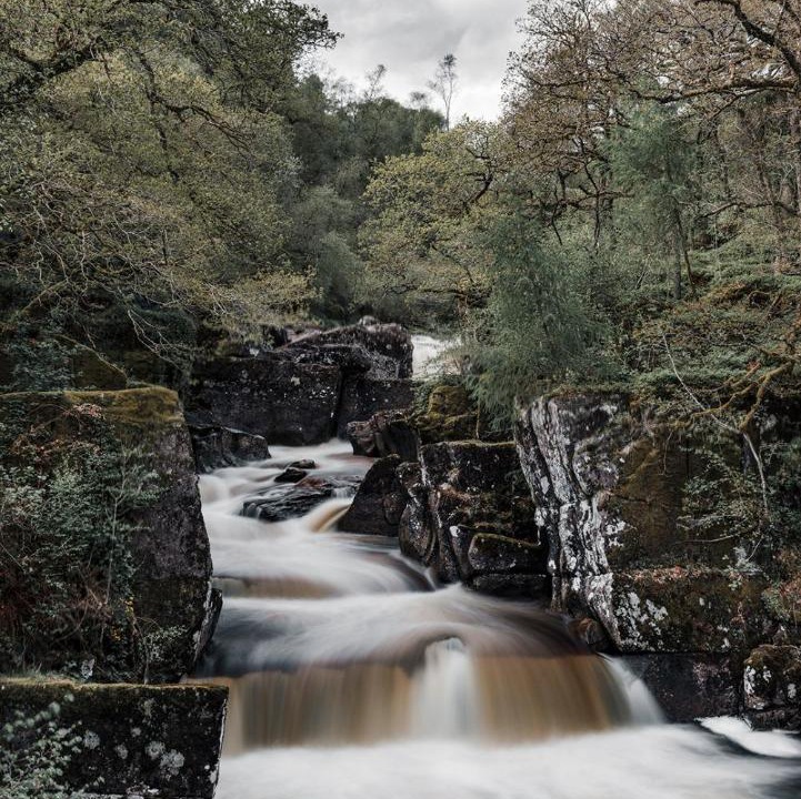 Photo of Others in Callander