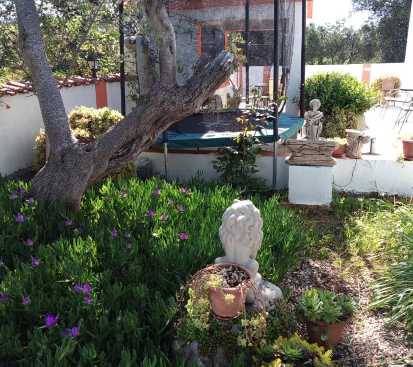 Photo of Others in Bibinje