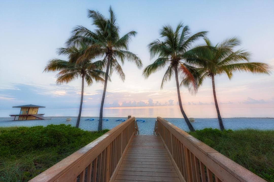 Photo of Others in Hollywood