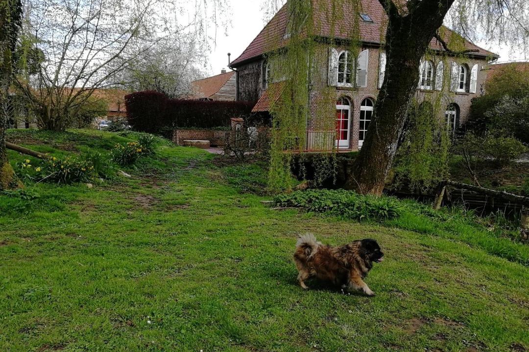 Photo of Others in Renty