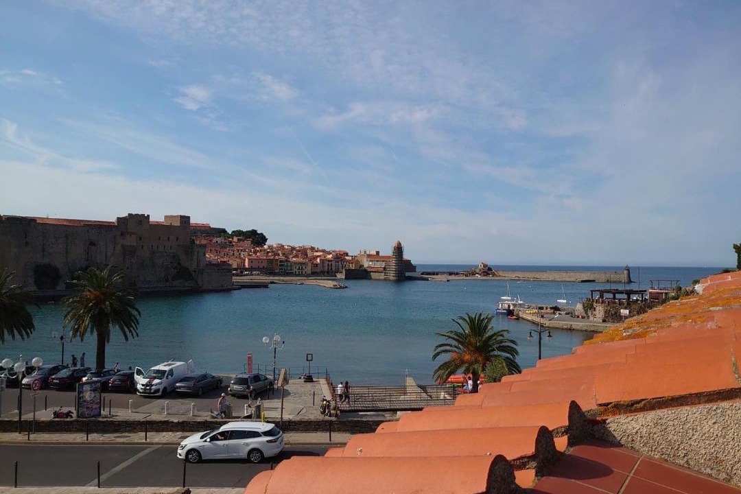 Photo of Others in Collioure