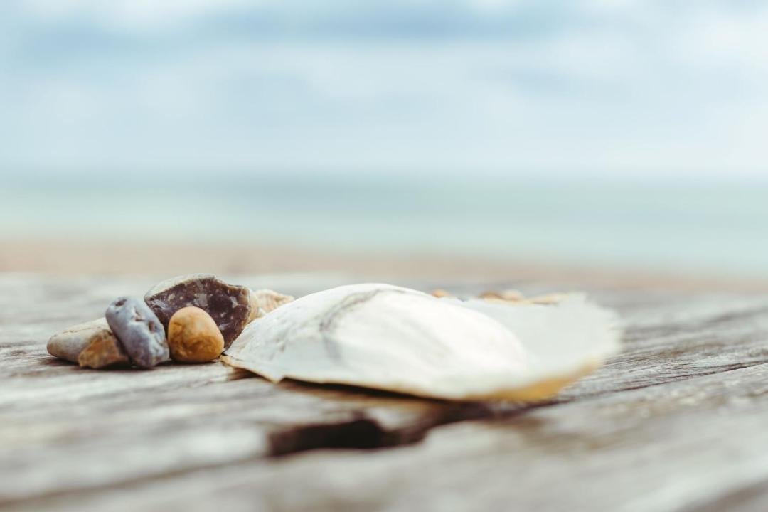 Photo of Others in Pevensey