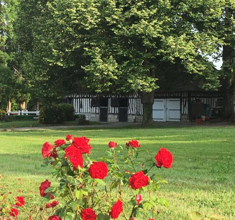 Photo of Others in Vatteville La Rue