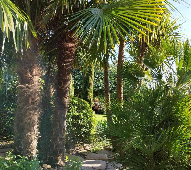 Photo of Others in Riec-sur-Belon