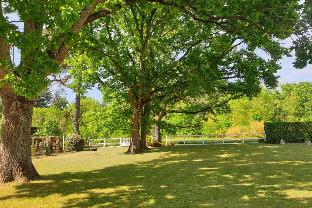 Photo of Others in Milly-la-Foret