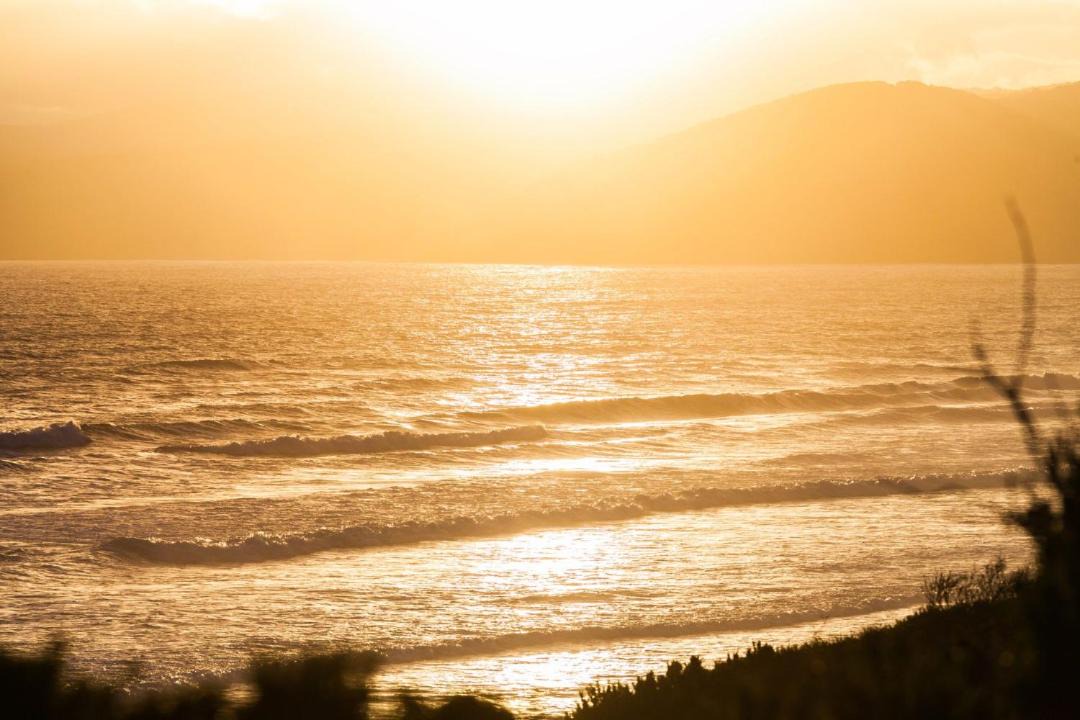 Photo of Others in Fairhaven