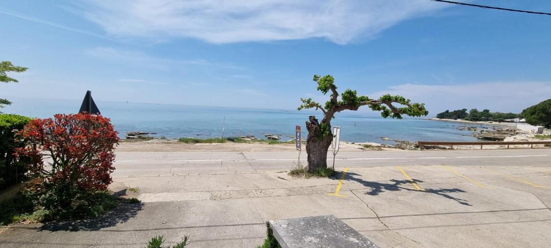 Photo of Others in Zambratija