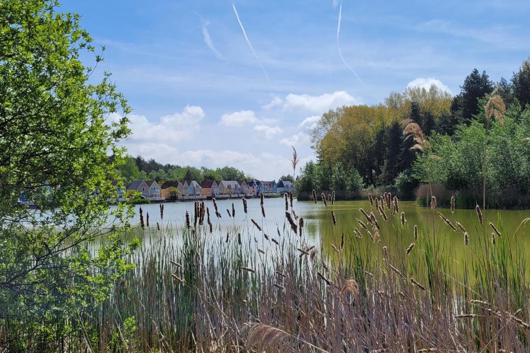 Photo of Others in Belle Dune