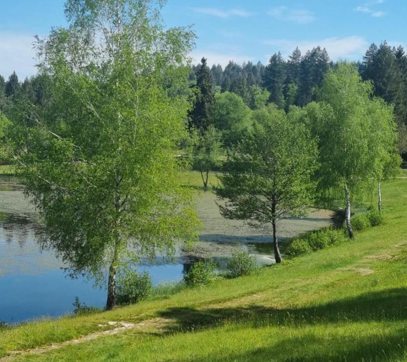 Photo of Others in Bugeat