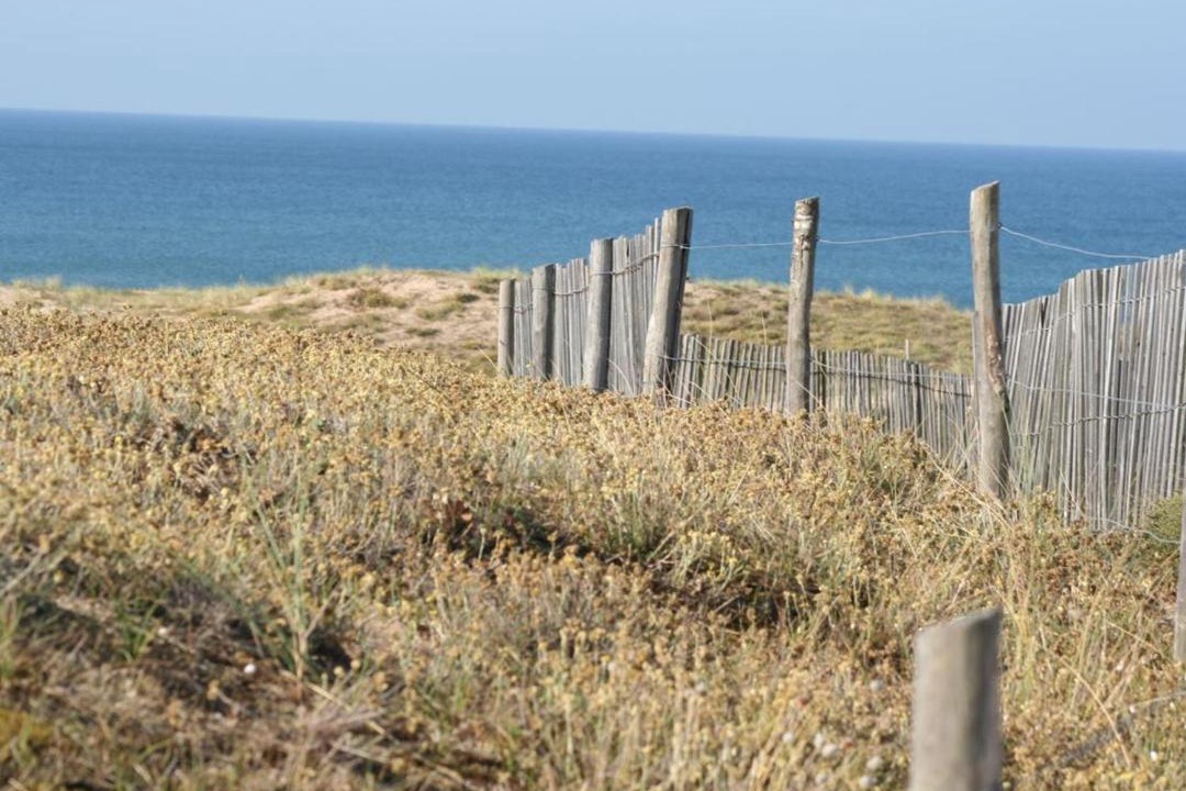 Photo of Outdoor in Bretignolles-sur-Mer
