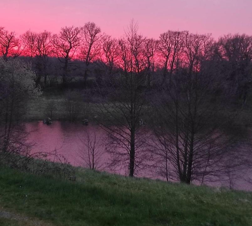 Photo of Others in Bussiere-Poitevine