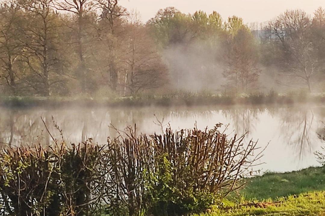 Photo of Others in Bussiere-Poitevine