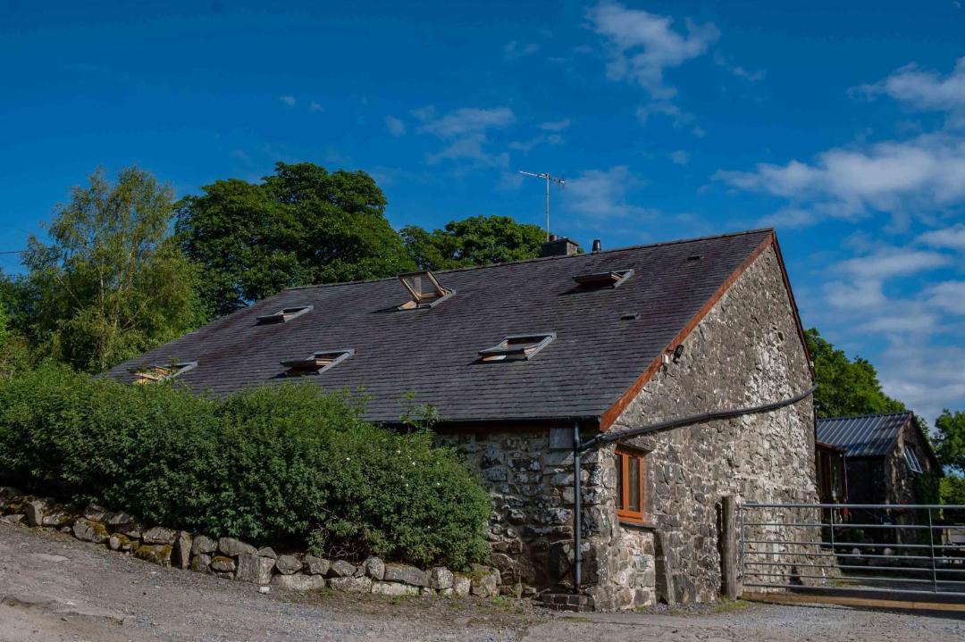 Photo of Others in Trawsfynydd