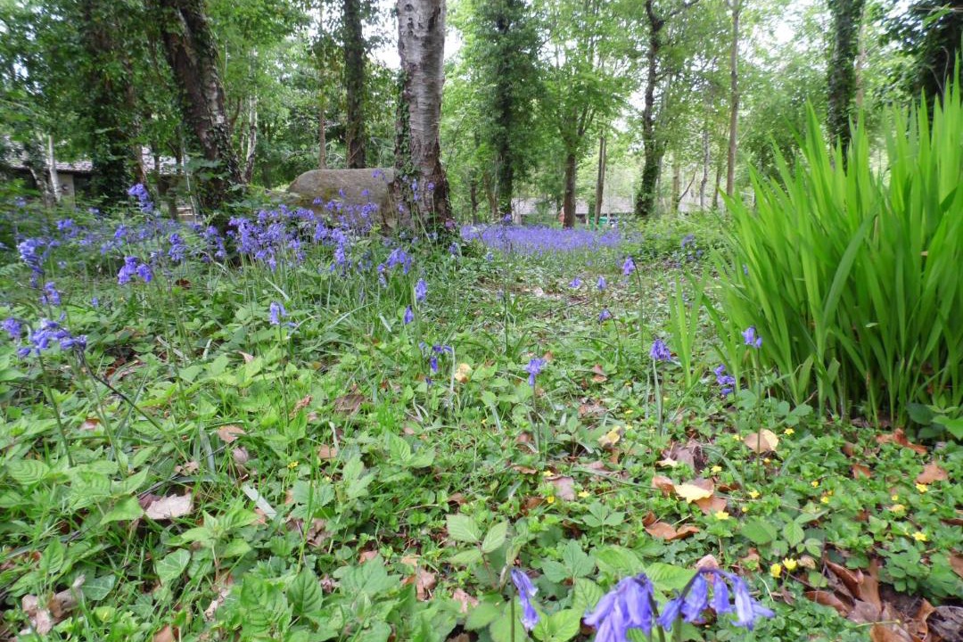 Photo of Others in Lelant