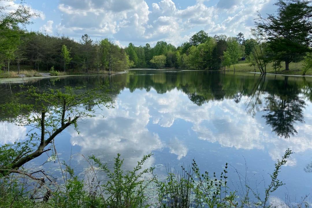 Photo of Outdoor in Beersheba Springs