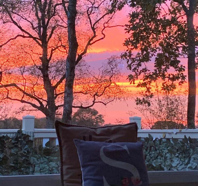 Photo of Others in York