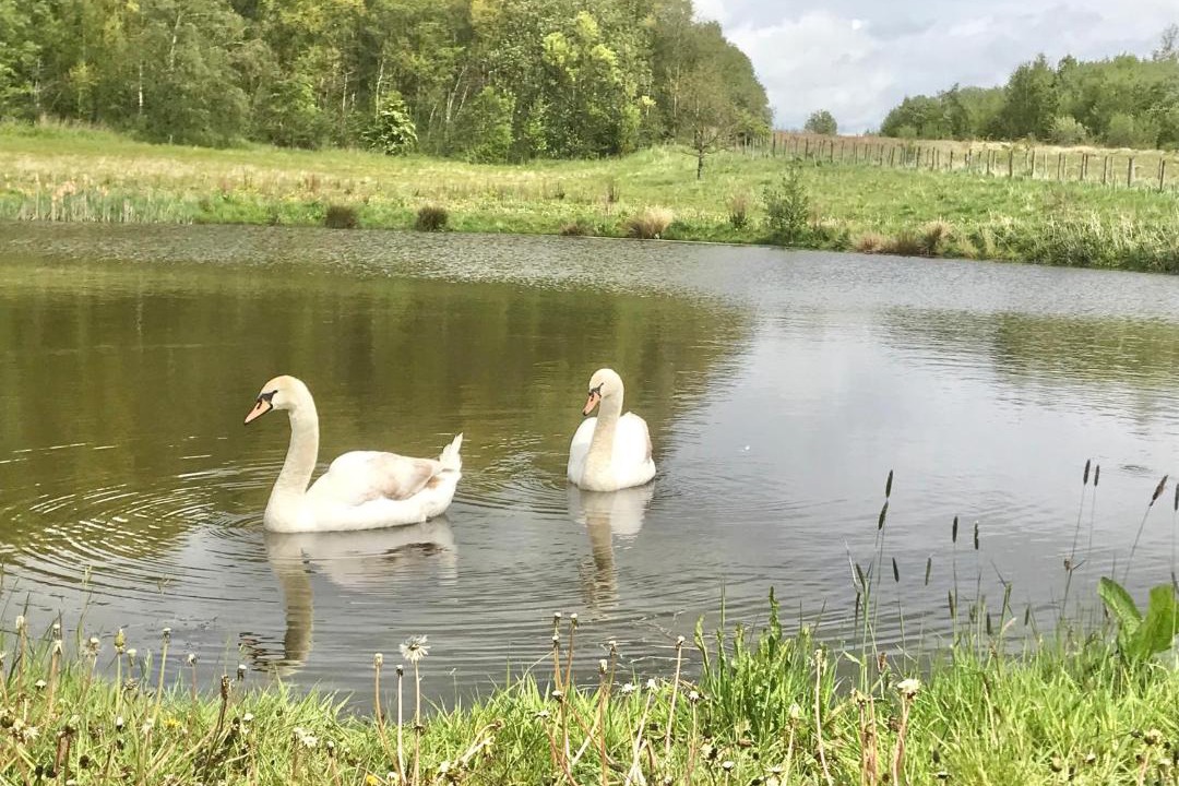 Photo of Outdoor in Ripley