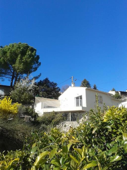 Photo of Others in Forcalquier