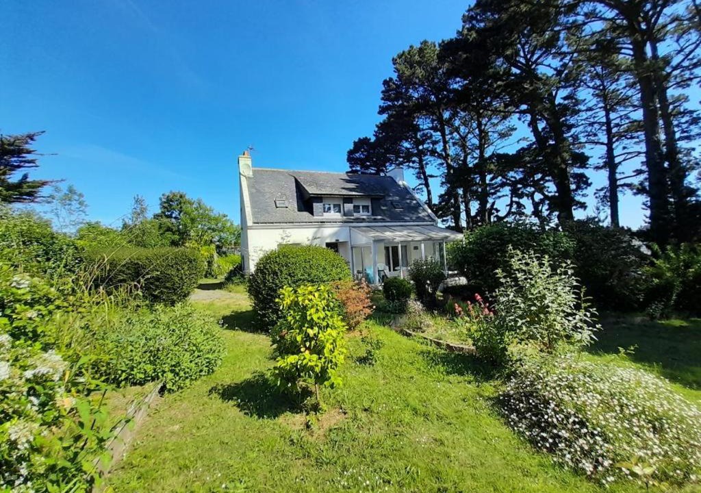 Photo of Buildings in Le Palais