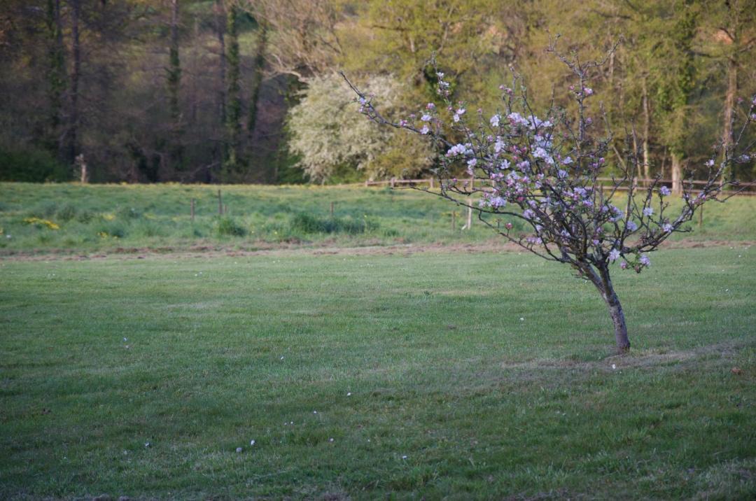 Photo of Others in Dompierre-sur-Yon