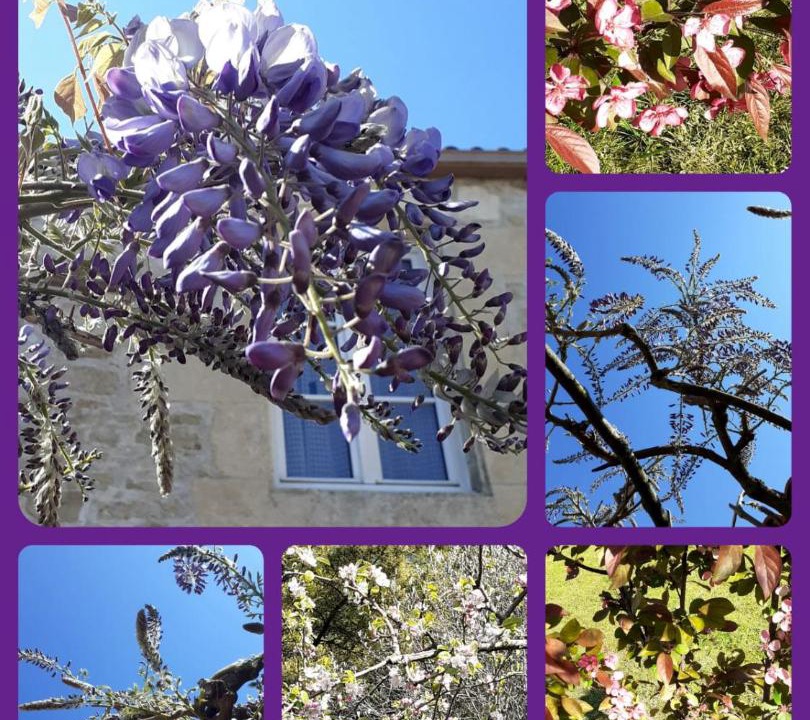 Photo of Others in La Reorthe