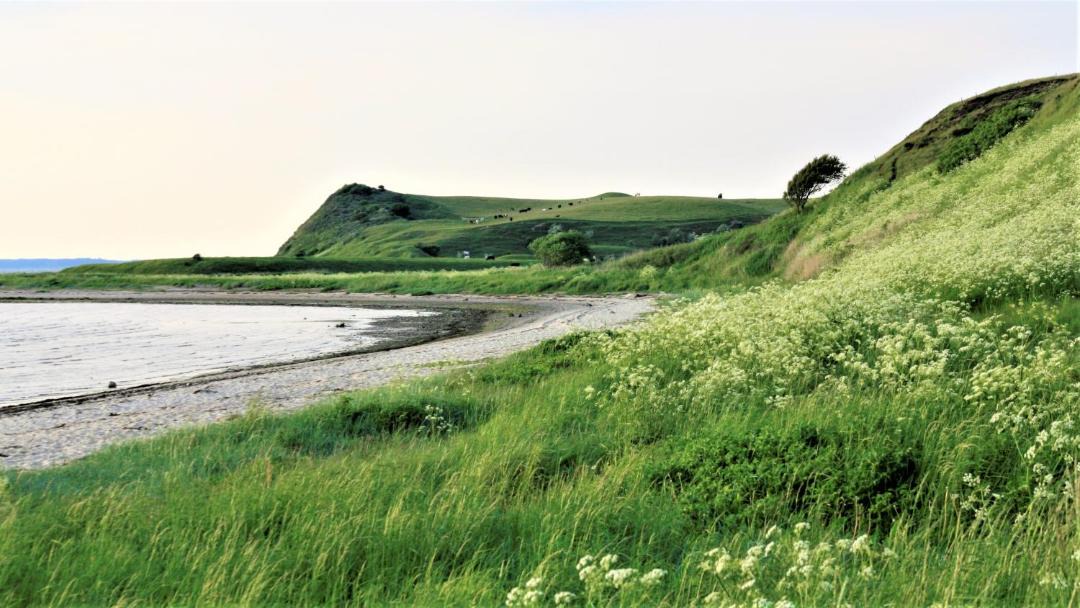 Photo of Others in Skals