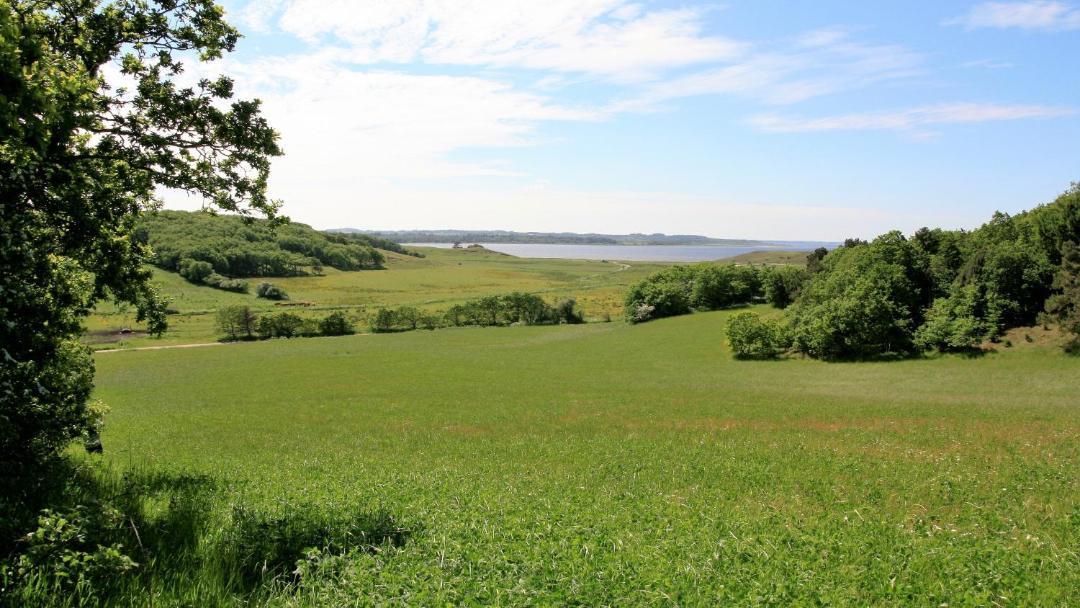 Photo of Others in Skals