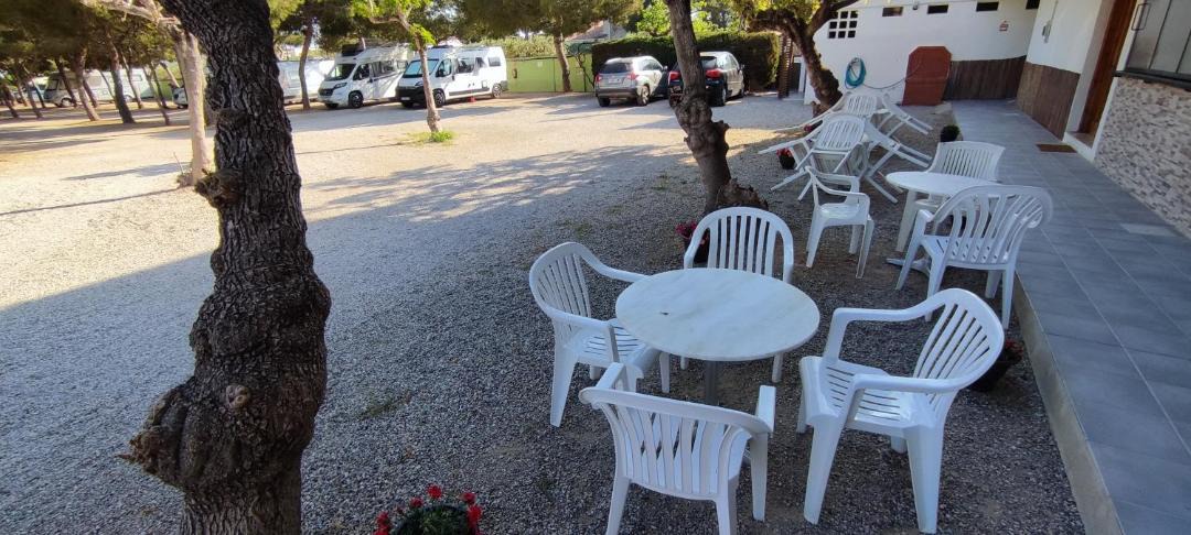 Photo of Others in Roda de Bara