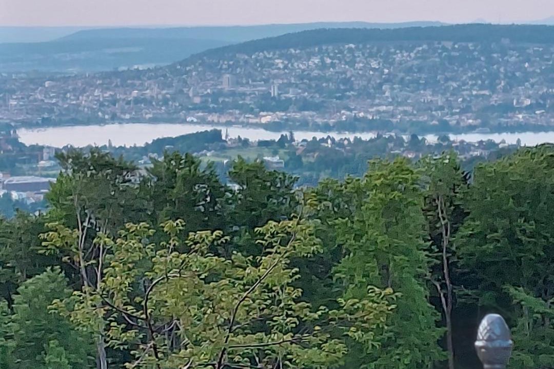 Photo of Others in Horgen District