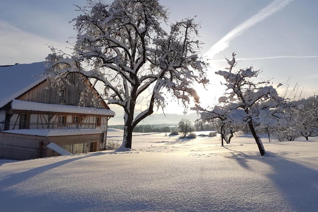 Photo of Others in Horgen District
