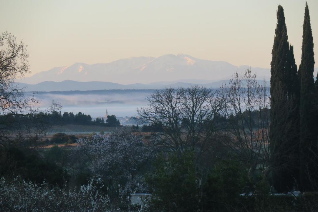 Photo of Others in Azillanet