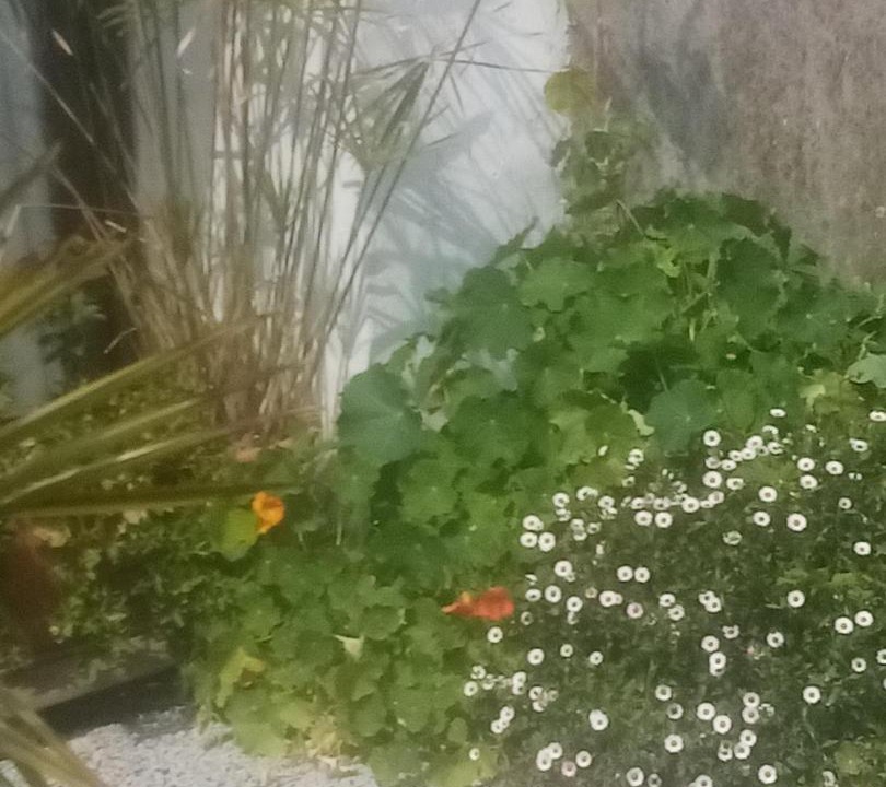 Photo of Outdoor in Plougastel-Daoulas