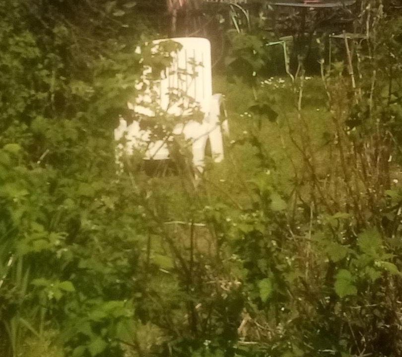 Photo of Outdoor in Plougastel-Daoulas