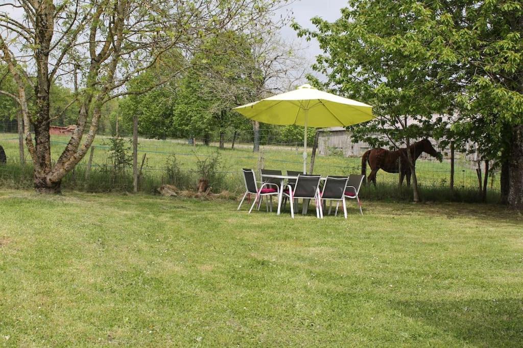 Photo of Others in Gaugeac