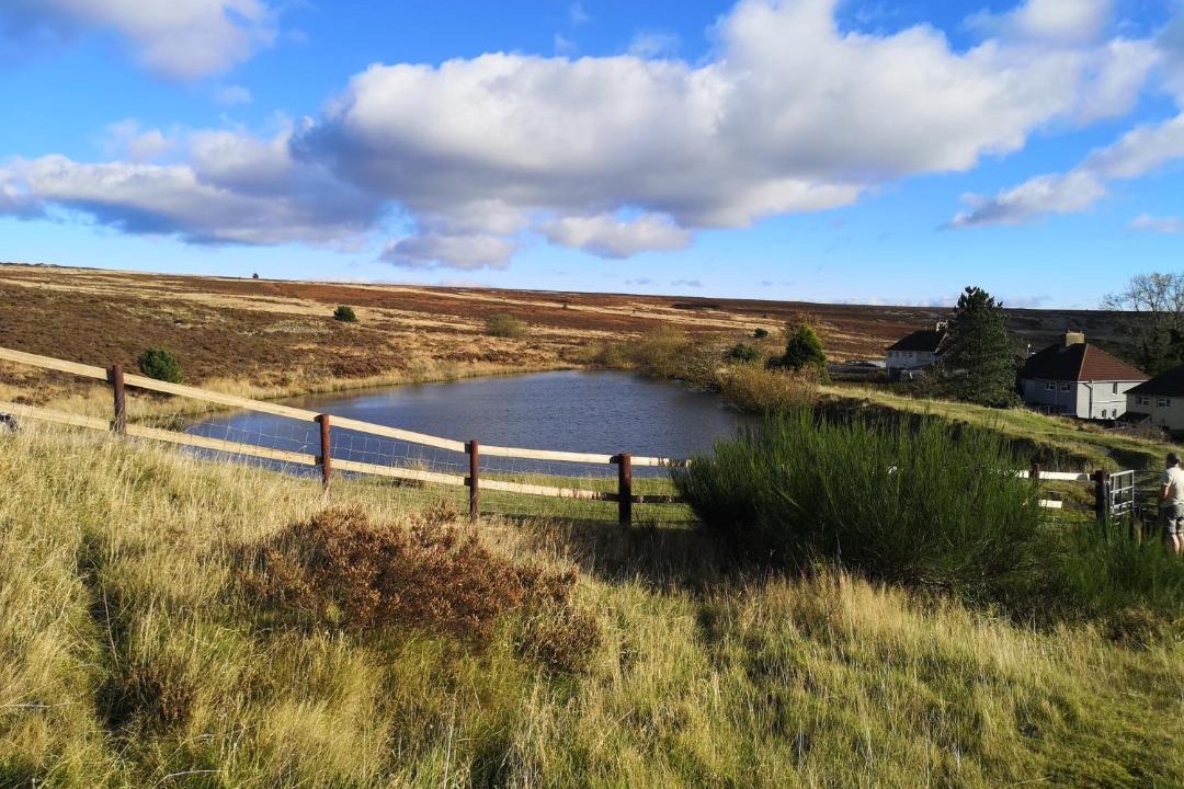 Photo of Others in Blaenavon