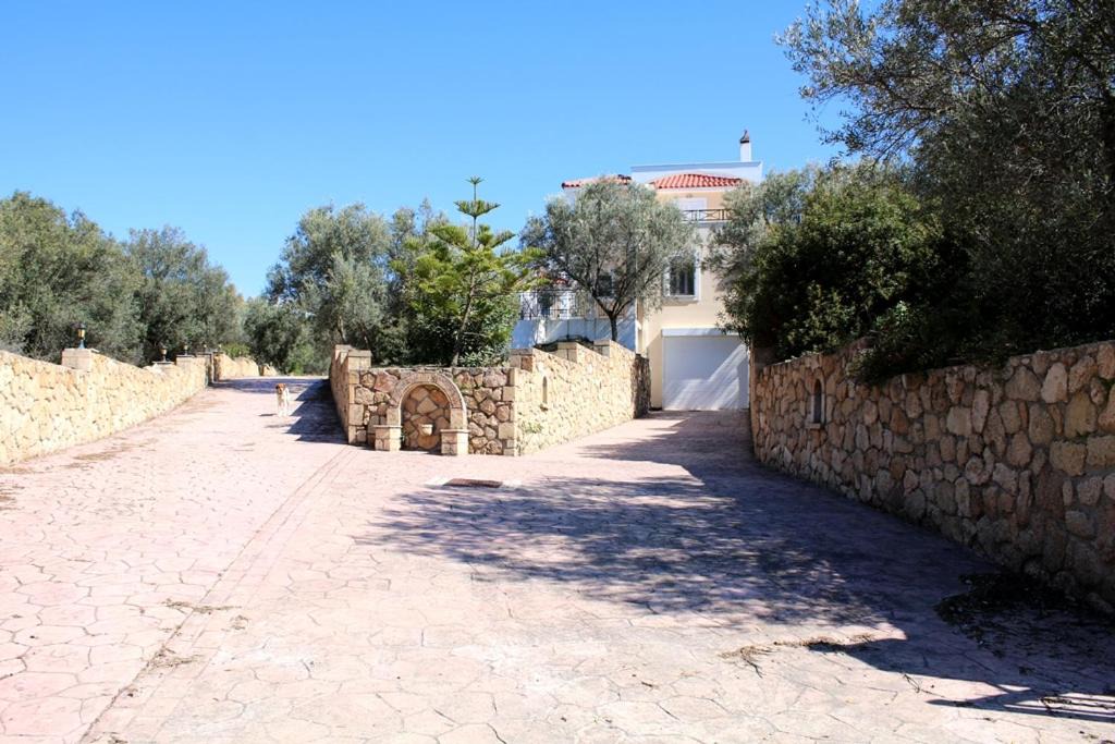 Photo of Others in Paliki