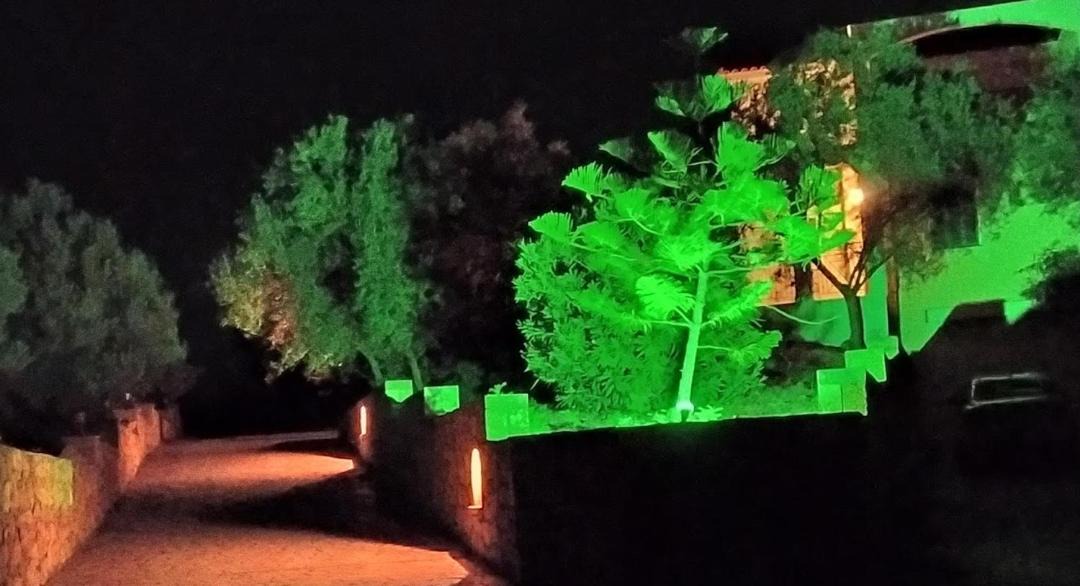 Photo of Others in Paliki