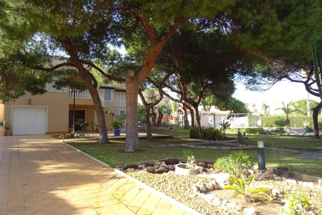 Photo of Others in La Zenia