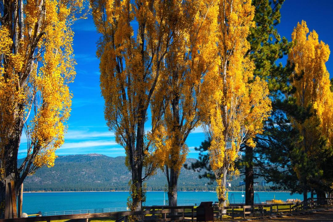 Photo of Others in Tahoe Village