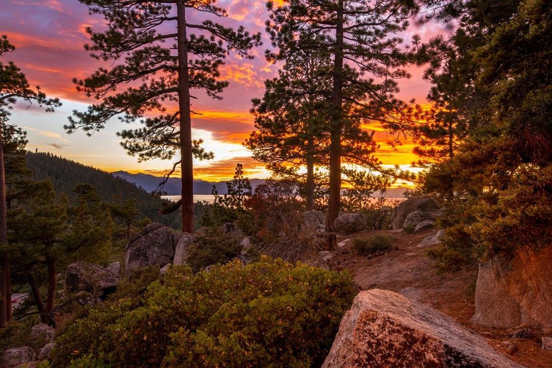 Photo of Others in Tahoe Village