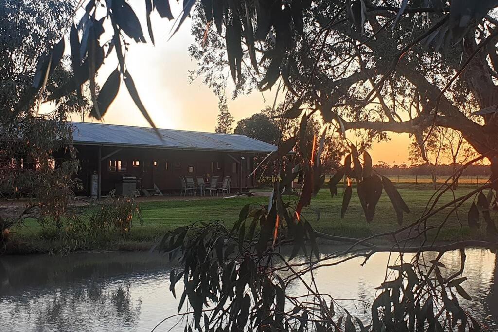 Photo of Others in Roslynmead