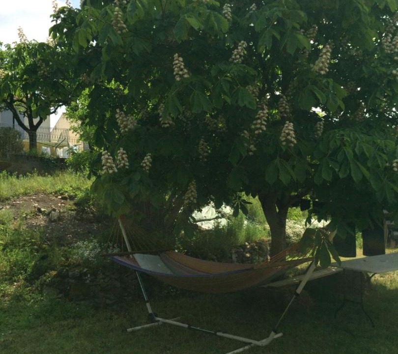 Photo of Outdoor in Dampierre-sur-Boutonne