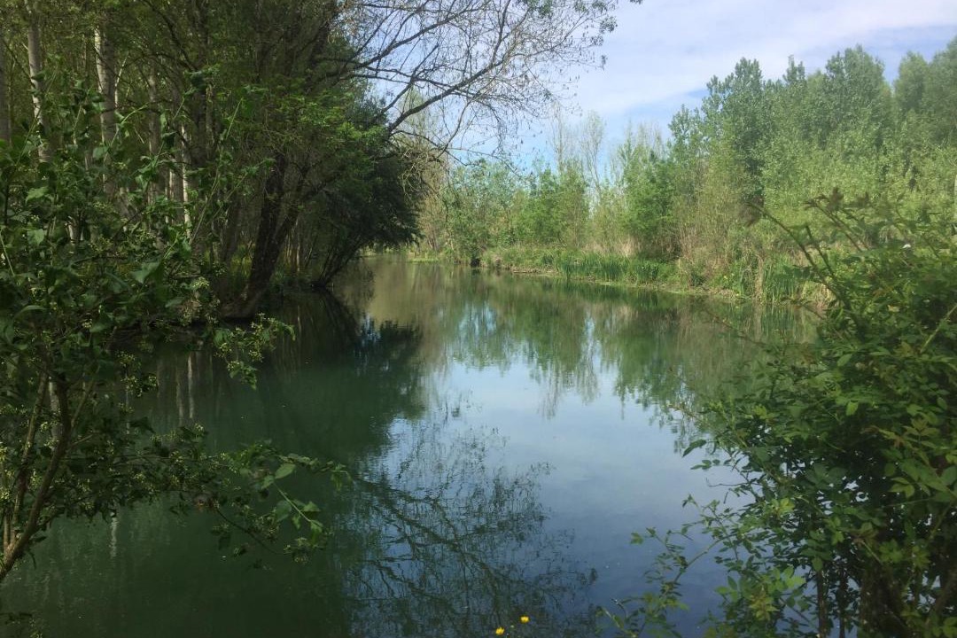 Photo of Outdoor in Dampierre-sur-Boutonne