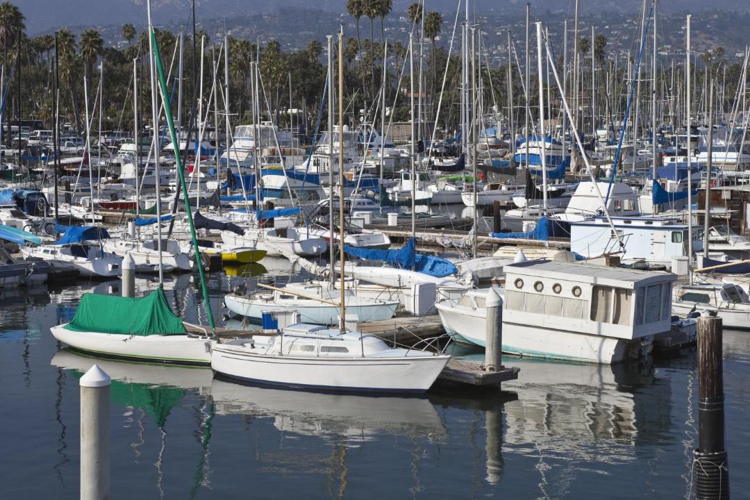 Photo of Others in Pierpont Bay
